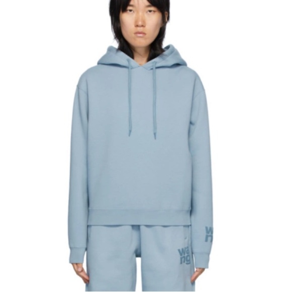 Alexander Wang T. Blue Foundation Terrie Hoodie size Medium